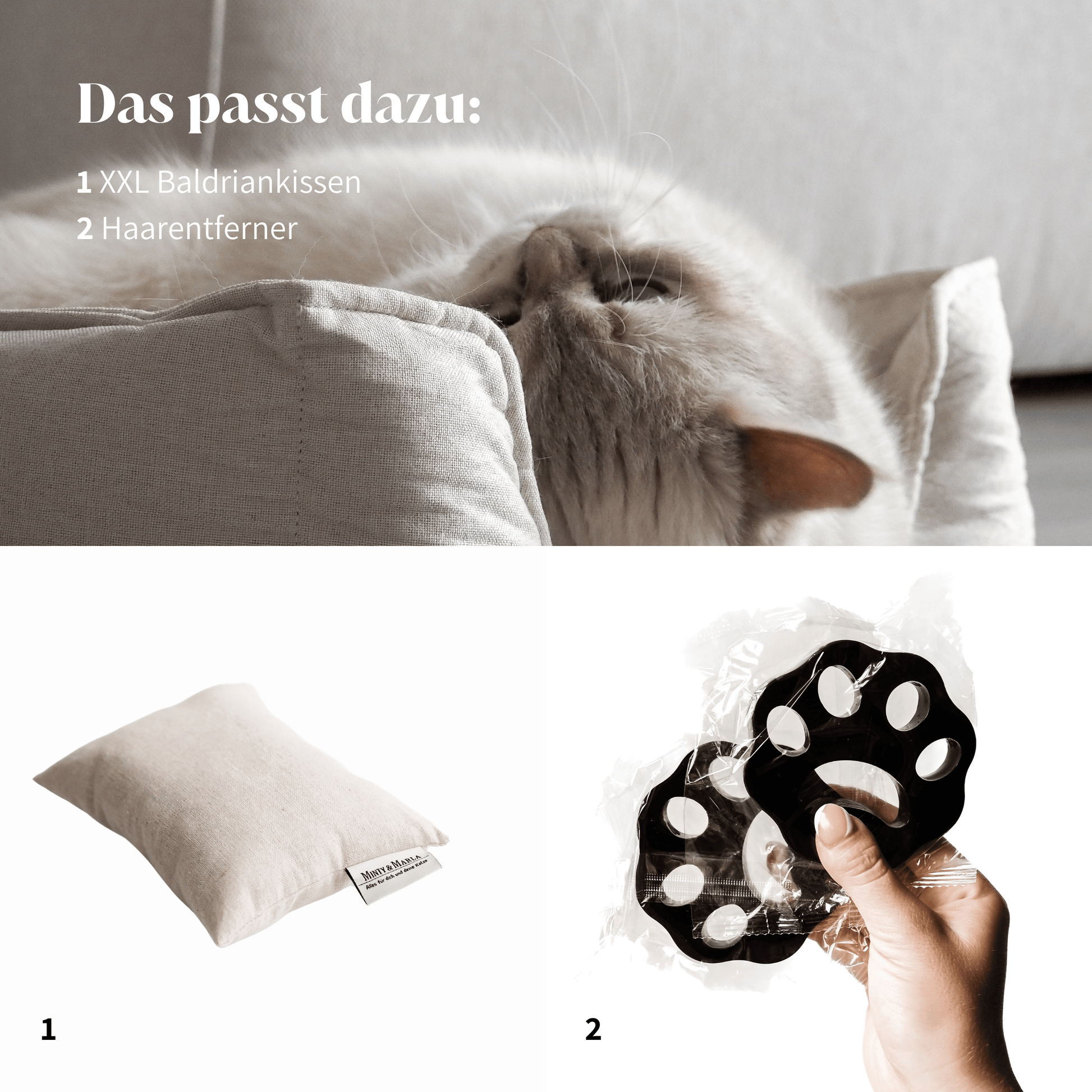 Schönes hochwertiges Katzenbett mit stylischem Katzenzubehör