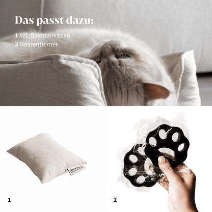 Schönes hochwertiges Katzenbett mit stylischem Katzenzubehör
