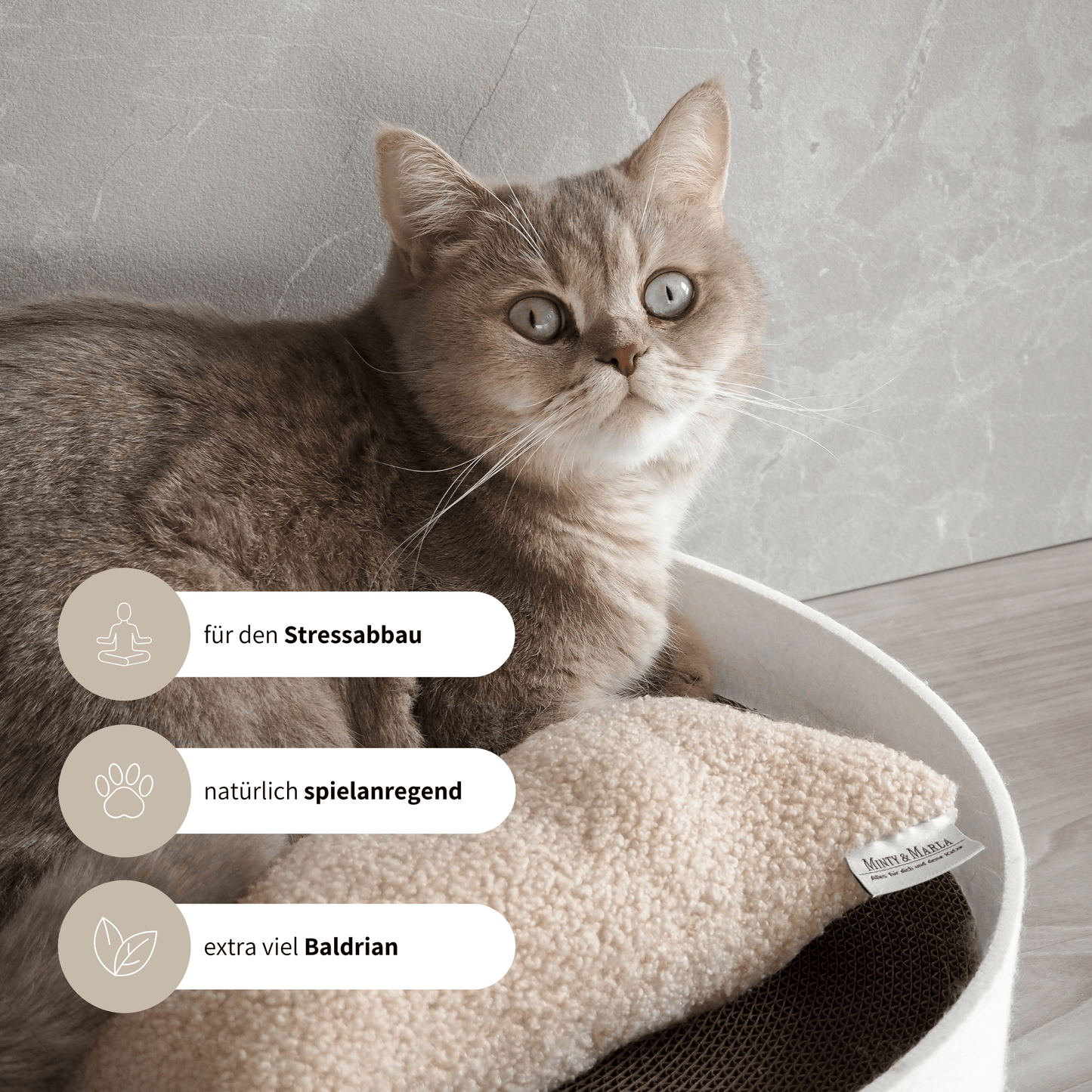 Baldrian Spielzeug für Katzen spielanregendes Spielkissen
