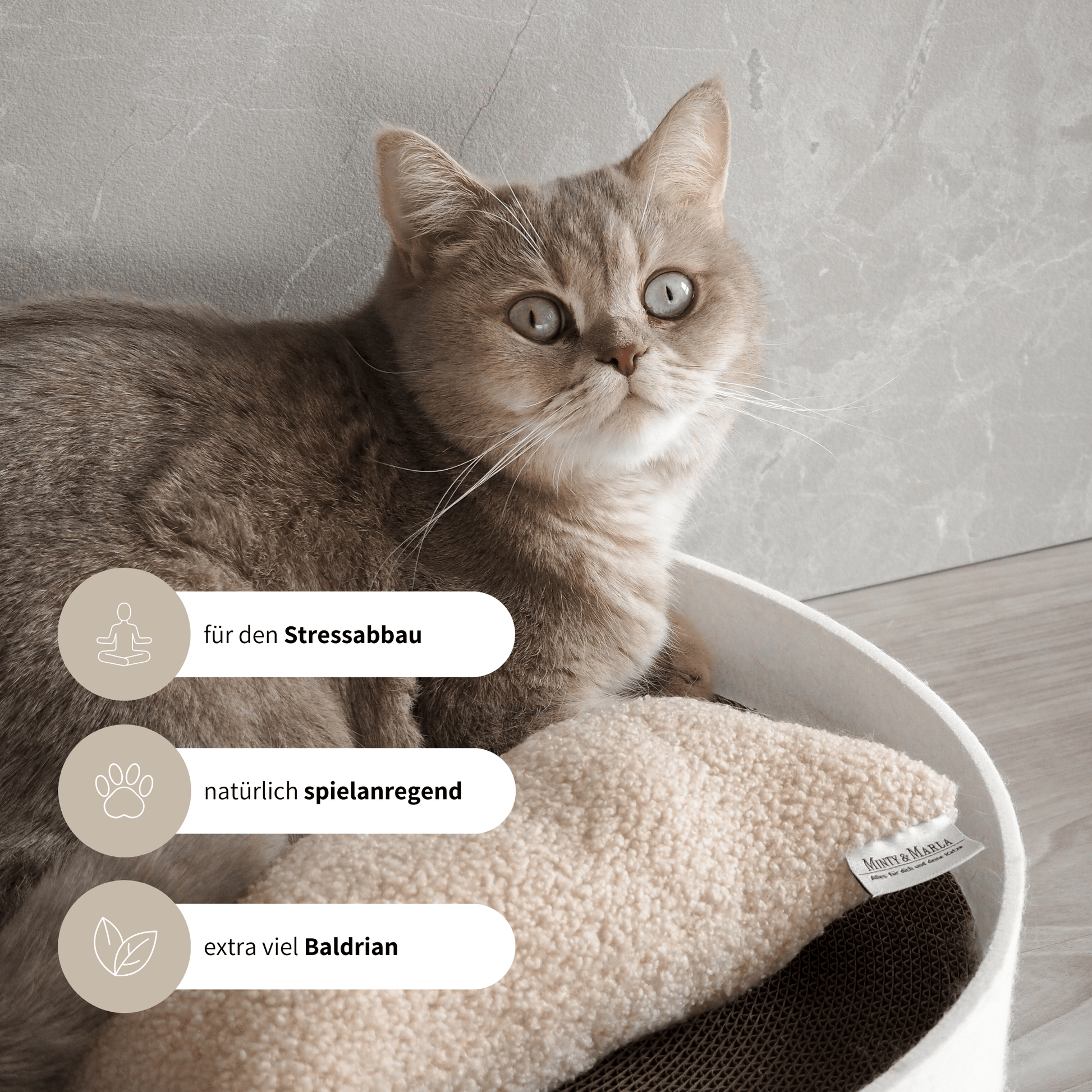 Baldrian Spielzeug für Katzen spielanregendes Spielkissen