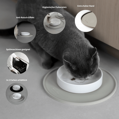 Graue Katze frisst aus flachen Keramiknapf der auf einer beigen Napfunterlage steht