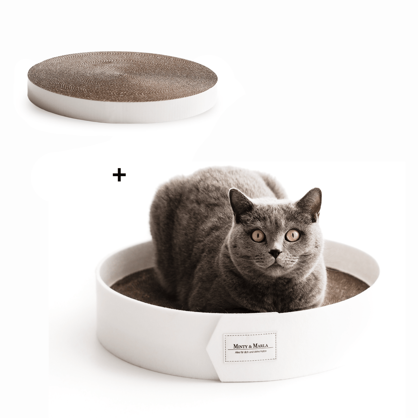Stylisches weißes Kratzbrett für Katzen mit Kratzpappe und Katzenminze