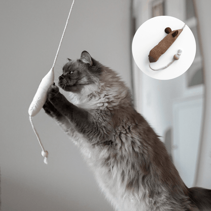 Katze spielt mit Spielangel Katzenspielzeug mit Katzenminze