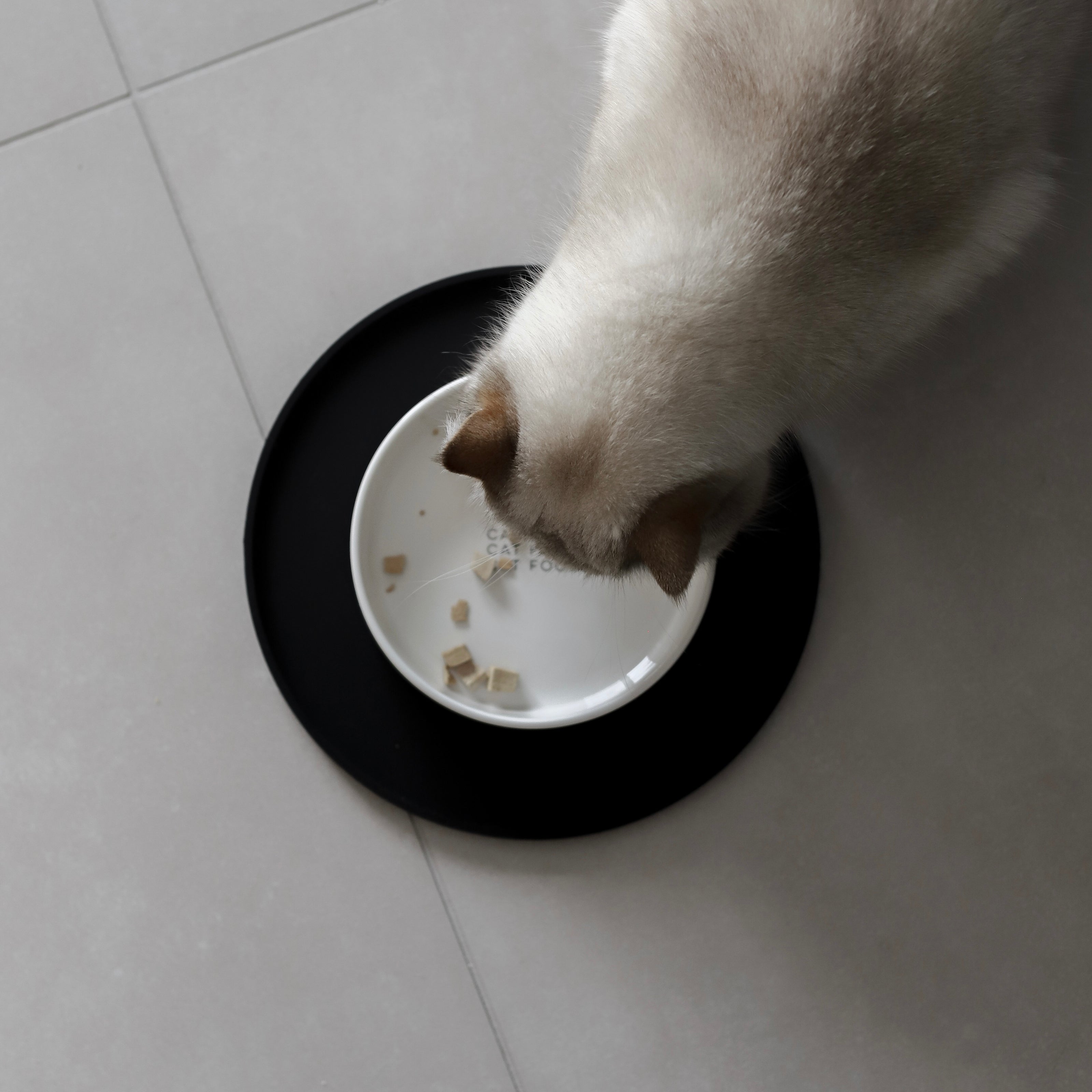 Katze Futternapf Napfunterlage schwarz modern schön 