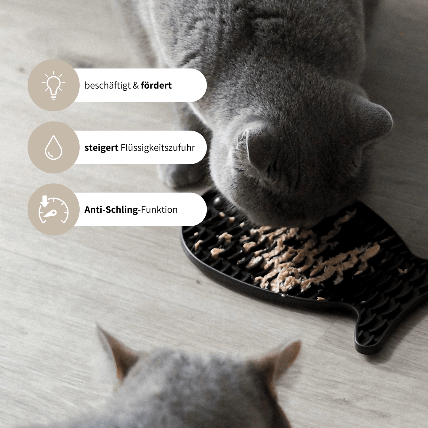 schwarze Schleckmatte für Katzen für Leckerlies und Nassfutter Beschäftigung