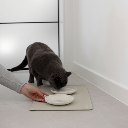 flacher Napf aus Keramik für Katzen schönes Futterzubehör