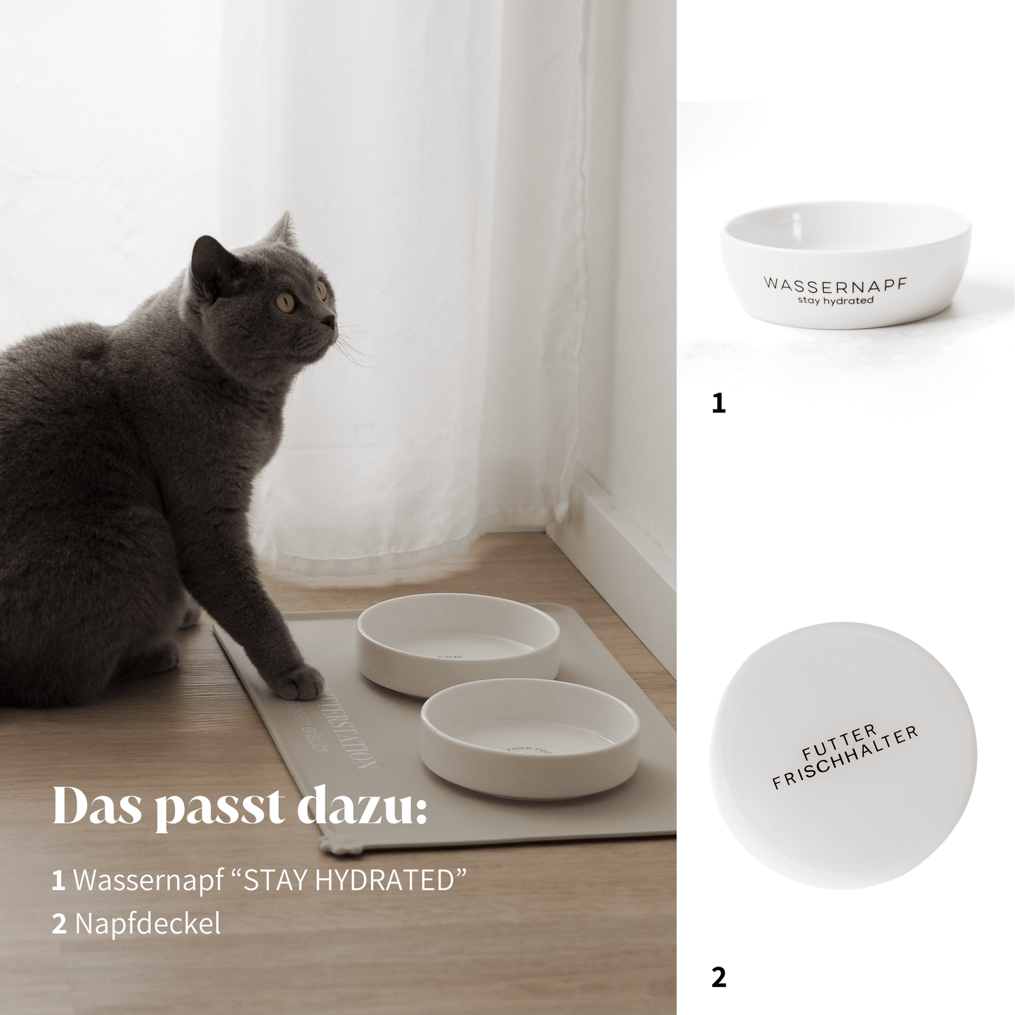 Stylisches Futterzubehör für Katzen Näpfe, Napfunterlagen und praktische Napfdeckel