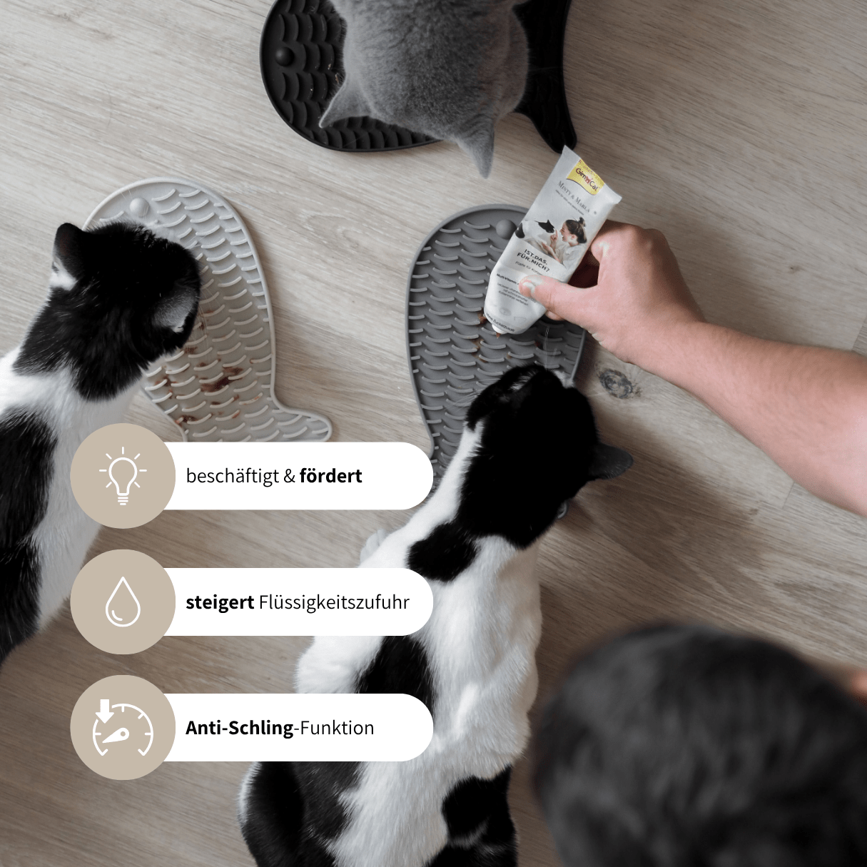 SCHLECK SET
