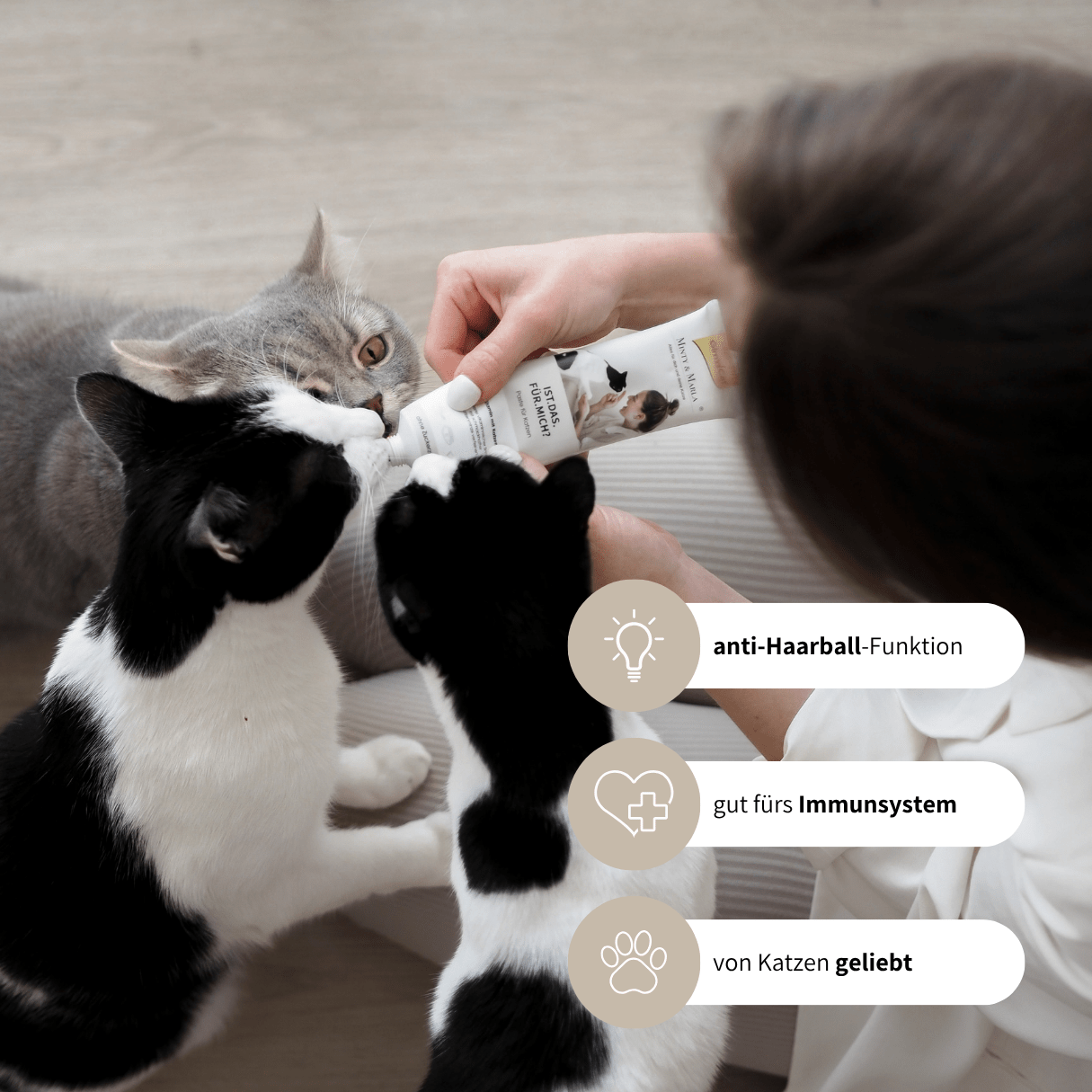 SCHLECK SET