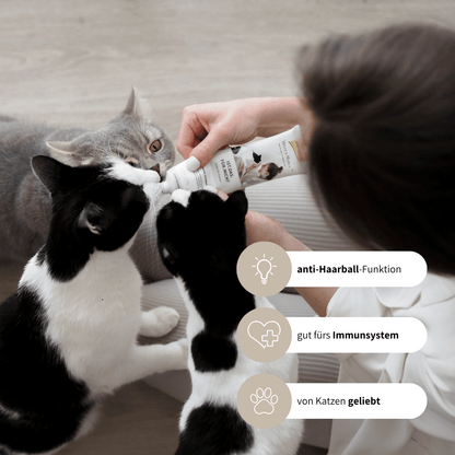 SCHLECK SET