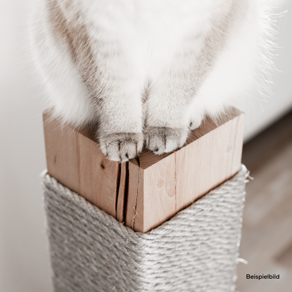 Katze sitzt auf einer massiven Kratzsäule aus echtem Buchenholz für Katzen.