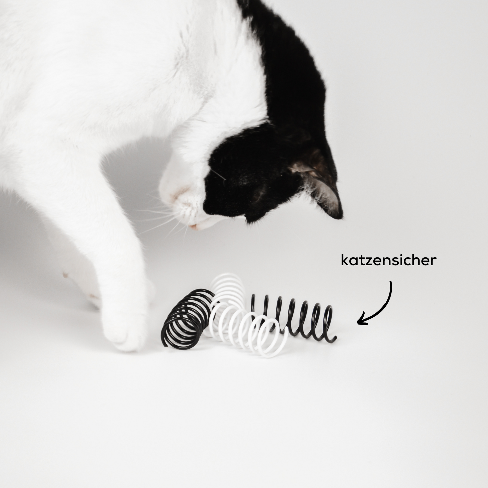 Katze spielt mit interaktivem Katzenspielzeug Spiralfeder Spielzeug für Katzen in schwarz und weiß.