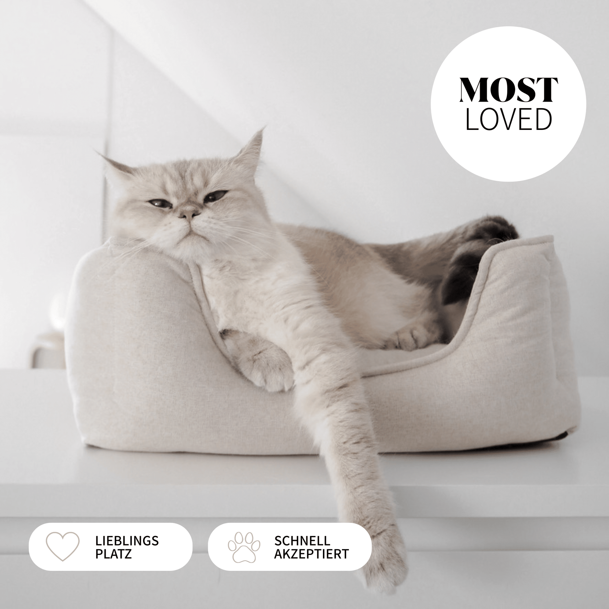Eine Katze liegt in einem beigen Körbchen für Katzen in Leinenopritk für ein schönes Zuhause mit Katzen.