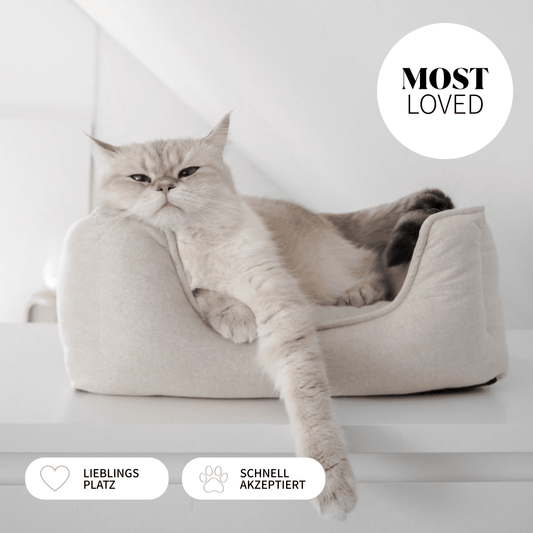 Eine Katze liegt in einem beigen Körbchen für Katzen in Leinenopritk für ein schönes Zuhause mit Katzen.
