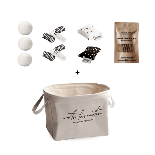 Katzenspielzeug Box spielanregendes Spielzeug für Katzen 