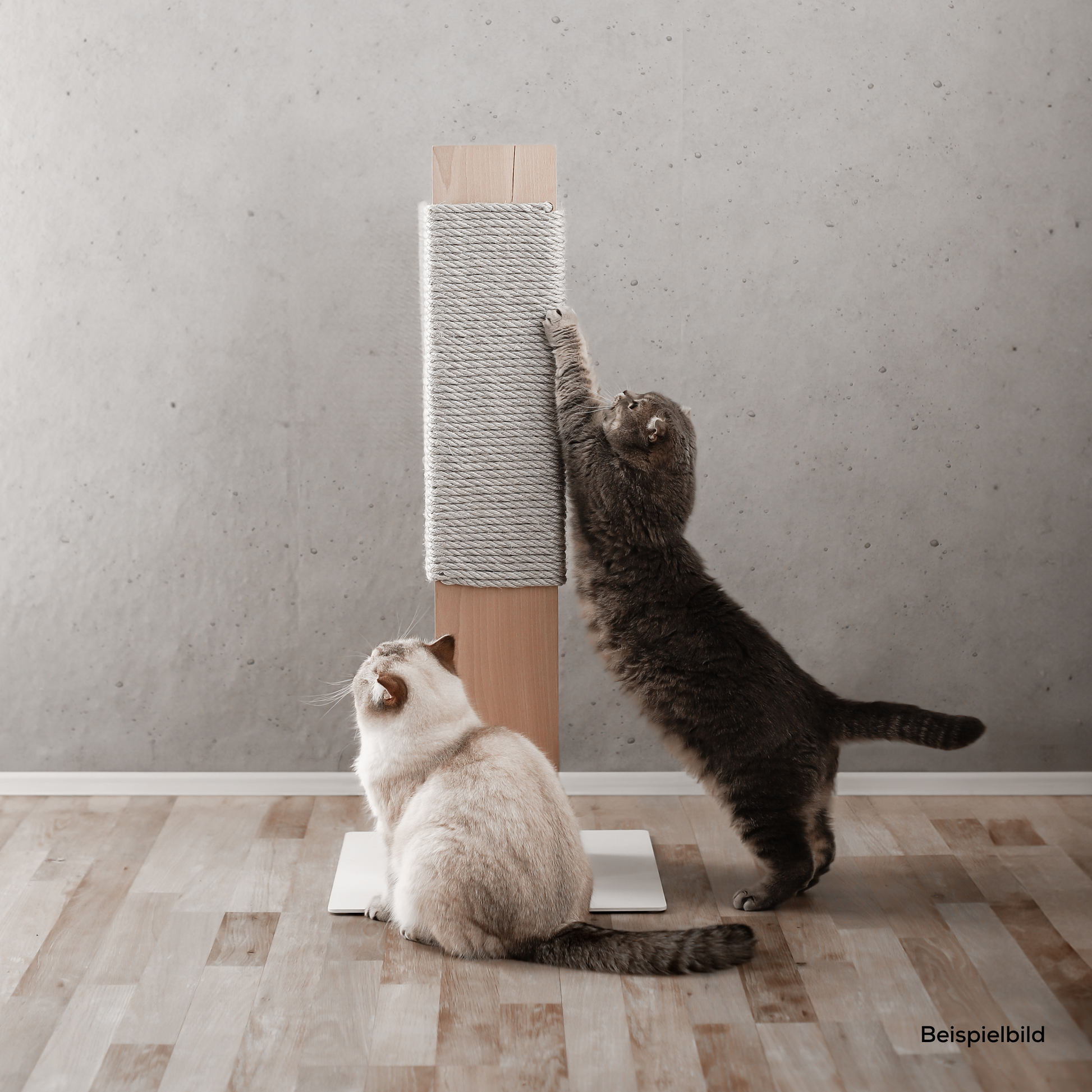 Hochwertige Kratzsäule für Katzen aus echtem Holz für eine moderne Wohnung mit Katzen.