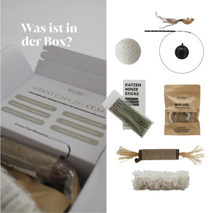 THE CRAZY CAT BOX