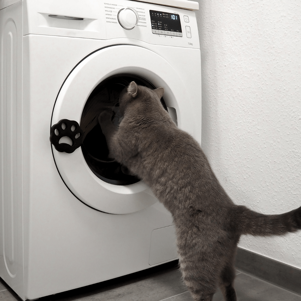 Katzenhaare Katze Entfernung