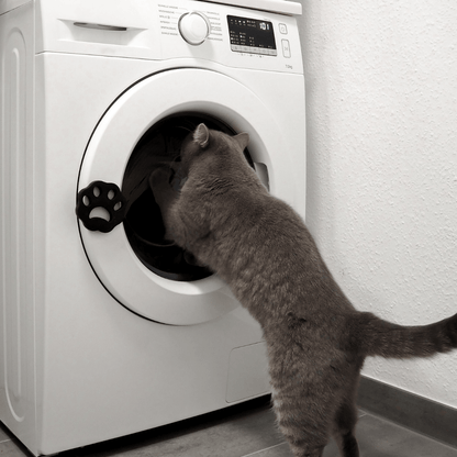 Katzenhaare Katze Entfernung