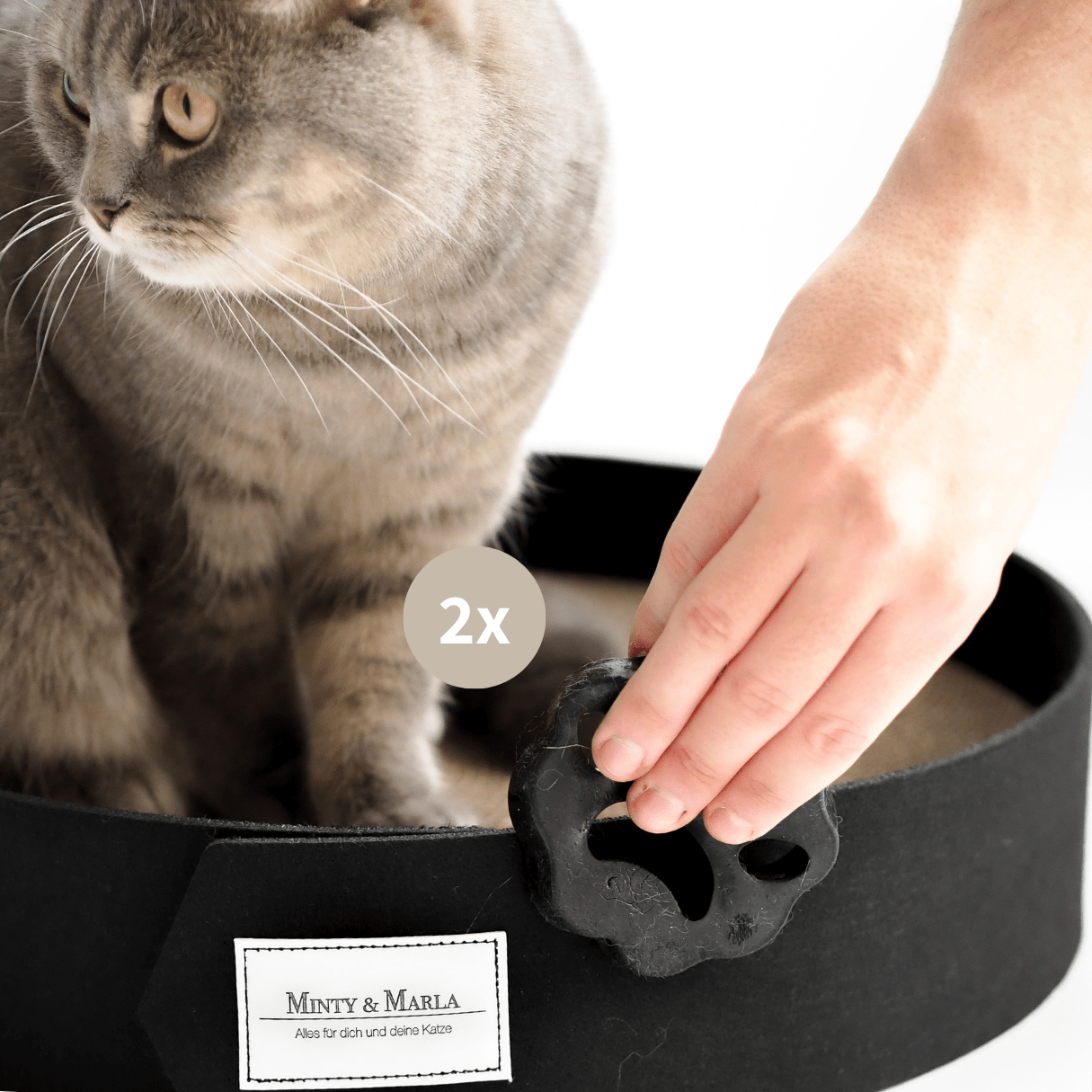 Haarentferner Entfernung von Tierhaaren an Möbeln