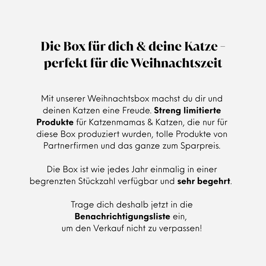 Die Box für dich und deine Katze, perfekt für die Weihnachtszeit