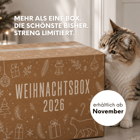 Weihnachtsbox 2026 für Katzen ab November