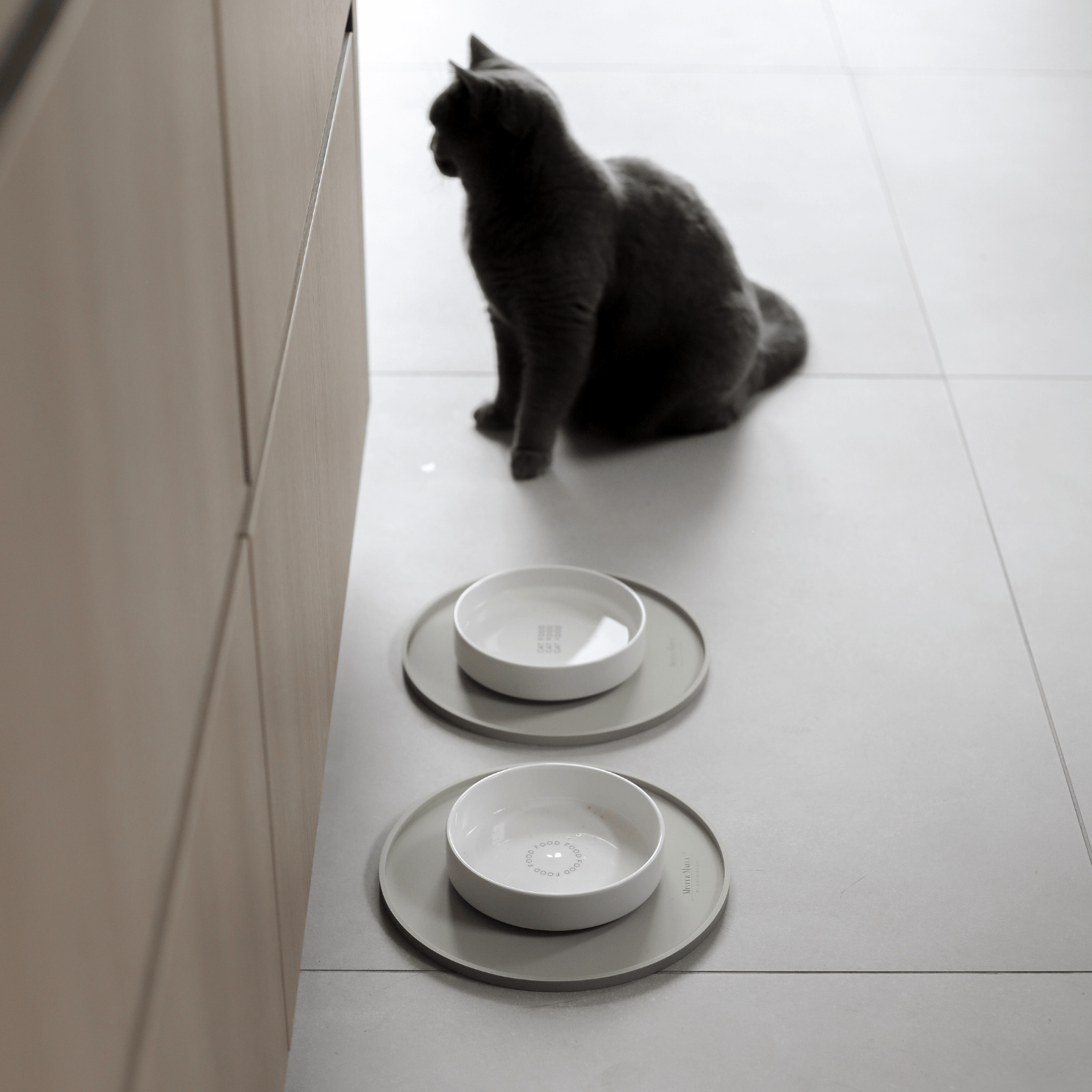 Eine graue Katze sitzt neben zwei modernen Futterplätzen in einer stylischen Küche