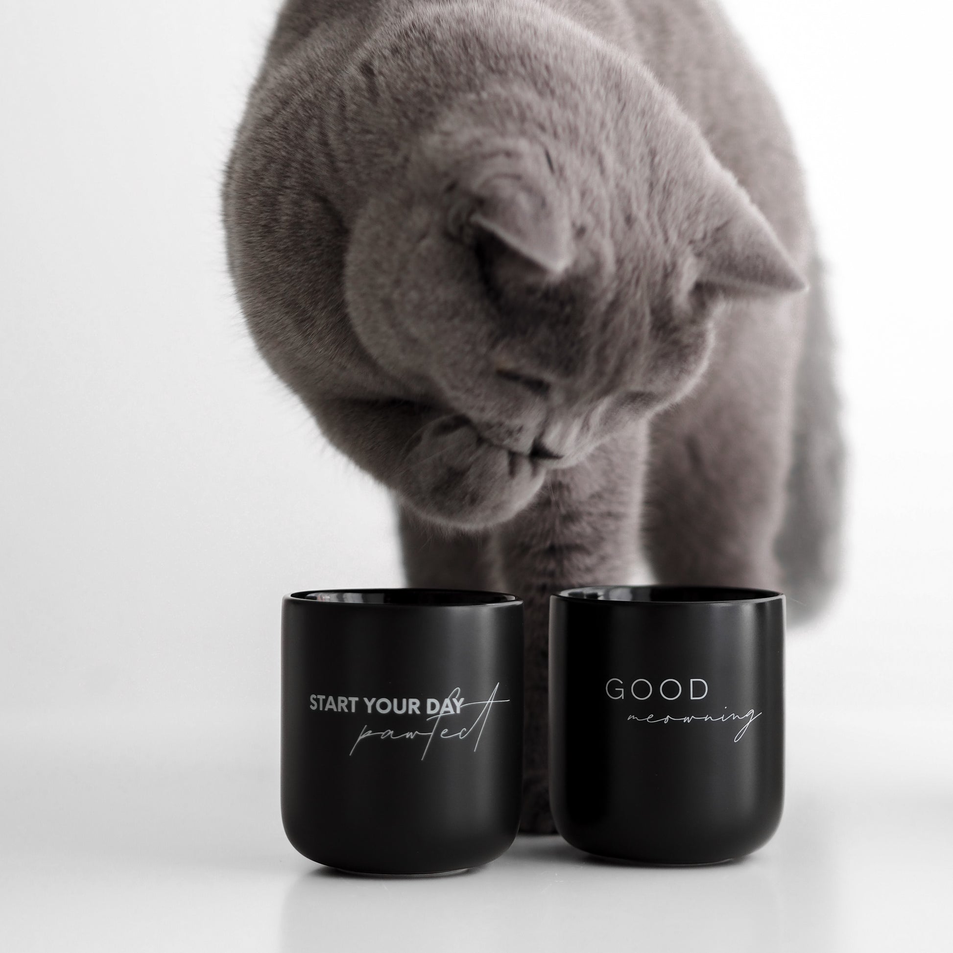 Katze mit schwarzen Tassen aus Keramik für Katzenliebhaber
