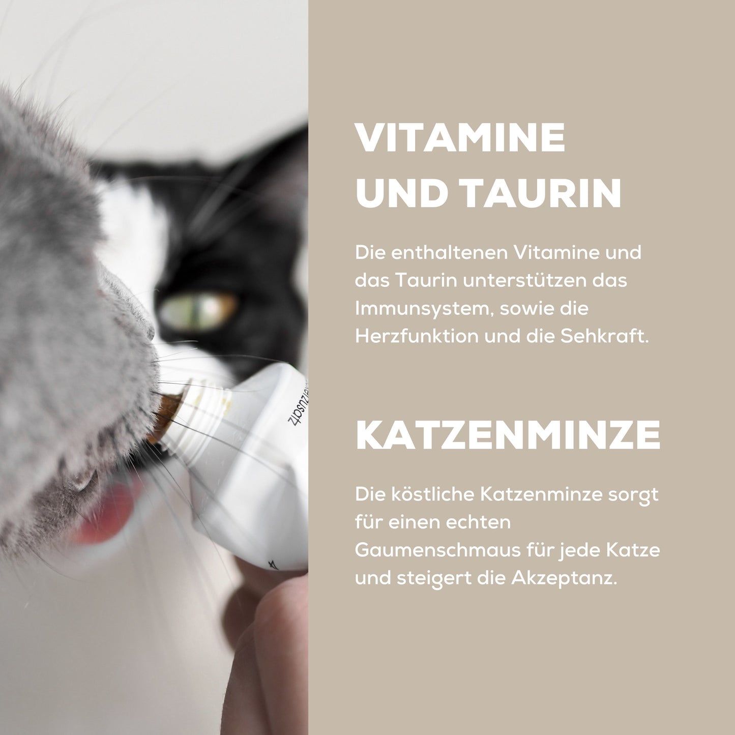Paste für Katzen mit Vitaminen, Taurin und Katzenminze 
