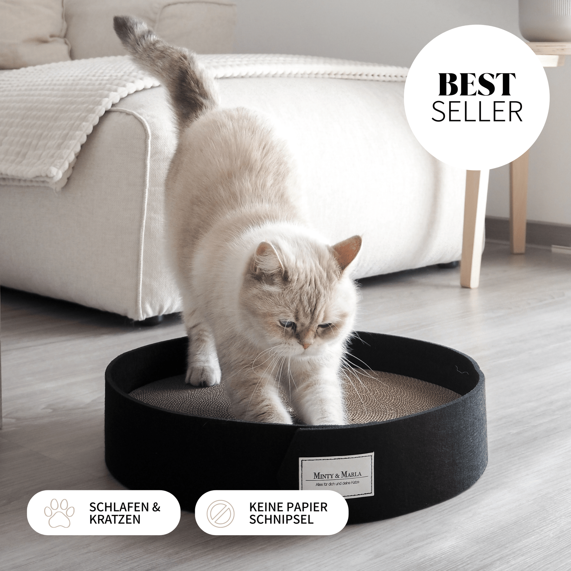 Kratzbrett für Katzen für ein schöne Zuhause mit Katze.