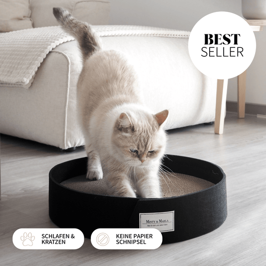 Kratzbrett für Katzen für ein schöne Zuhause mit Katze.