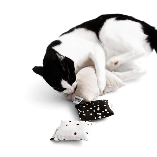 Katze spielt mit natürlichen Spielkissen mit Katzenminze und Baldrian.
