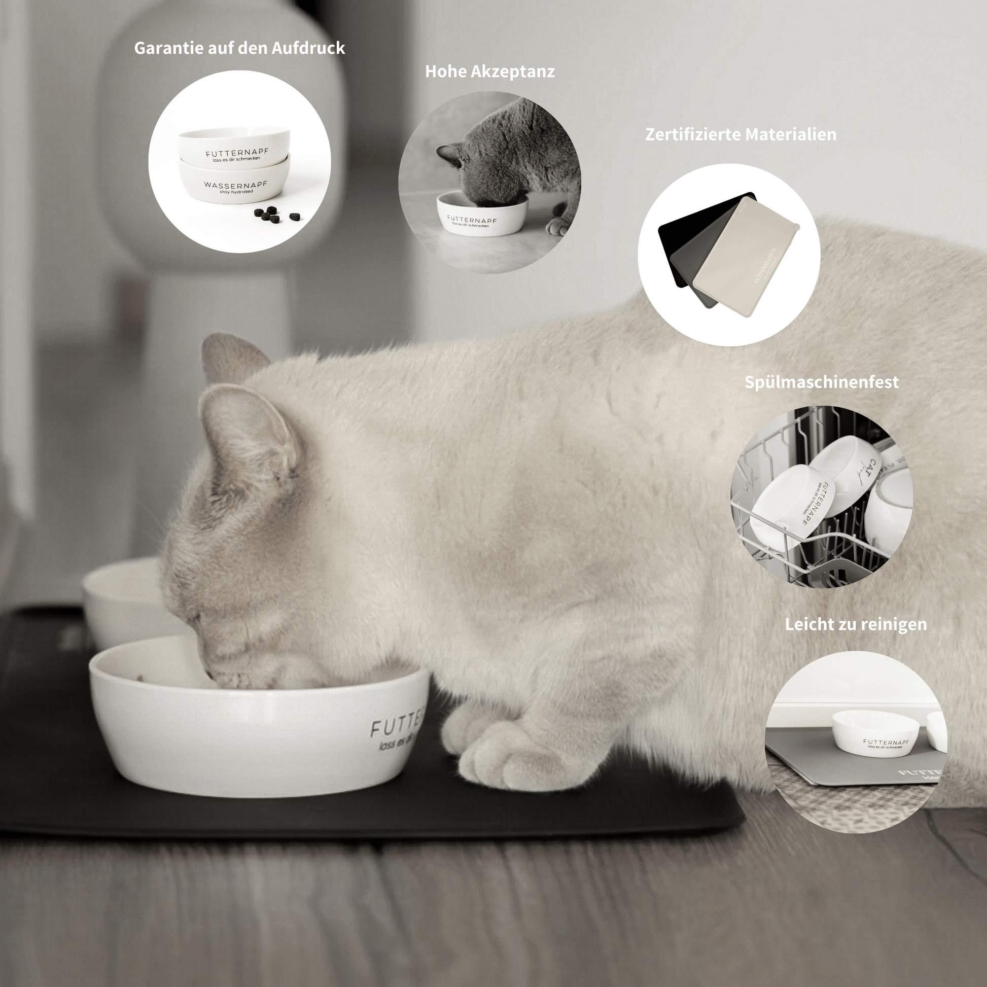 Schöne Futterstation für Katzen aus Keramiknäpfen und Napfunterlage
