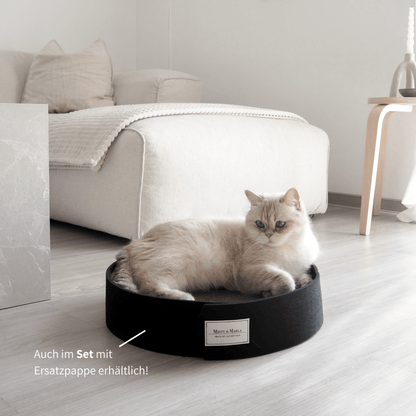 Katze schläft in schöner Kratzpappe für Katzen
