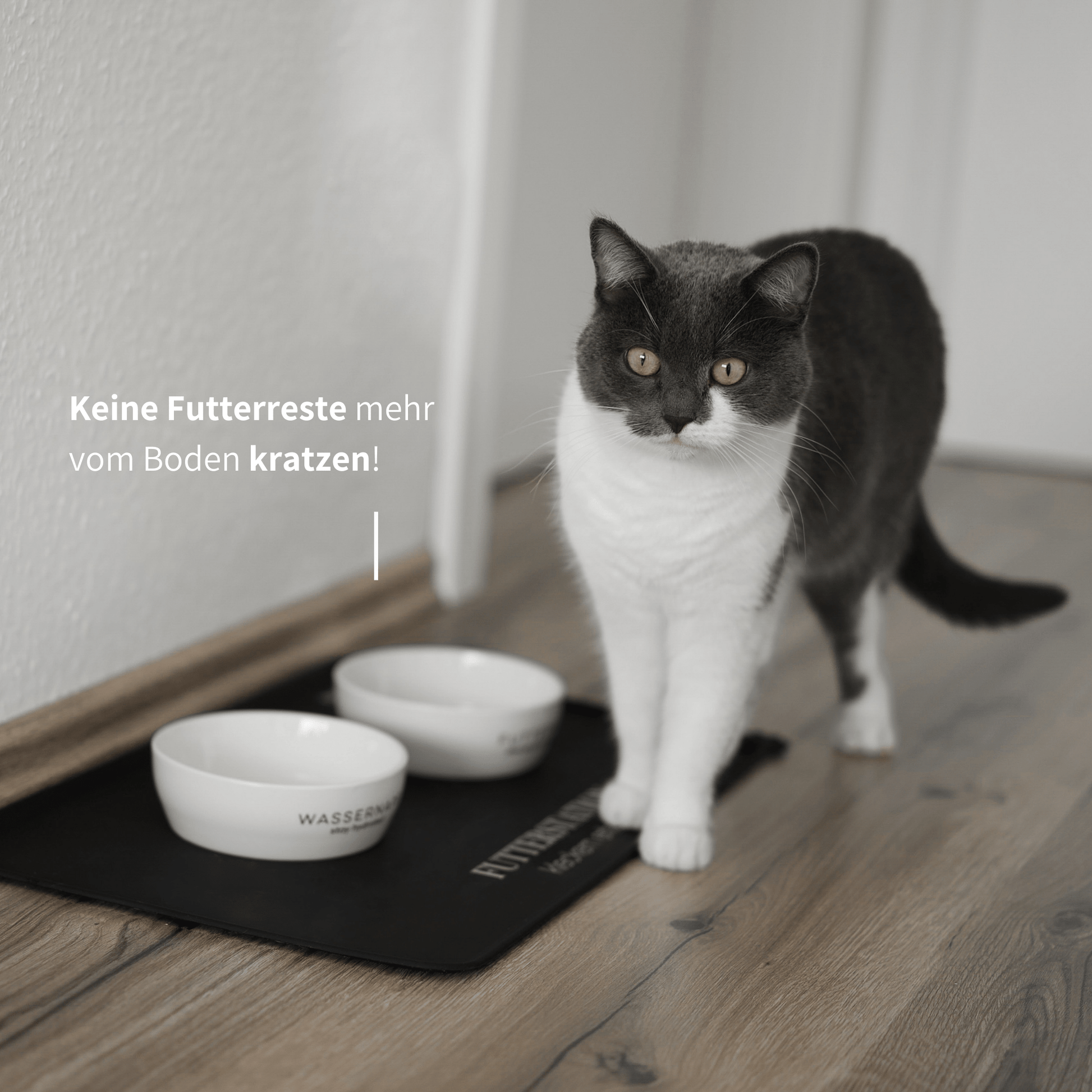 schöner Futterplatz für Katzen mit Napfunterlage und artgerechten Näpfen