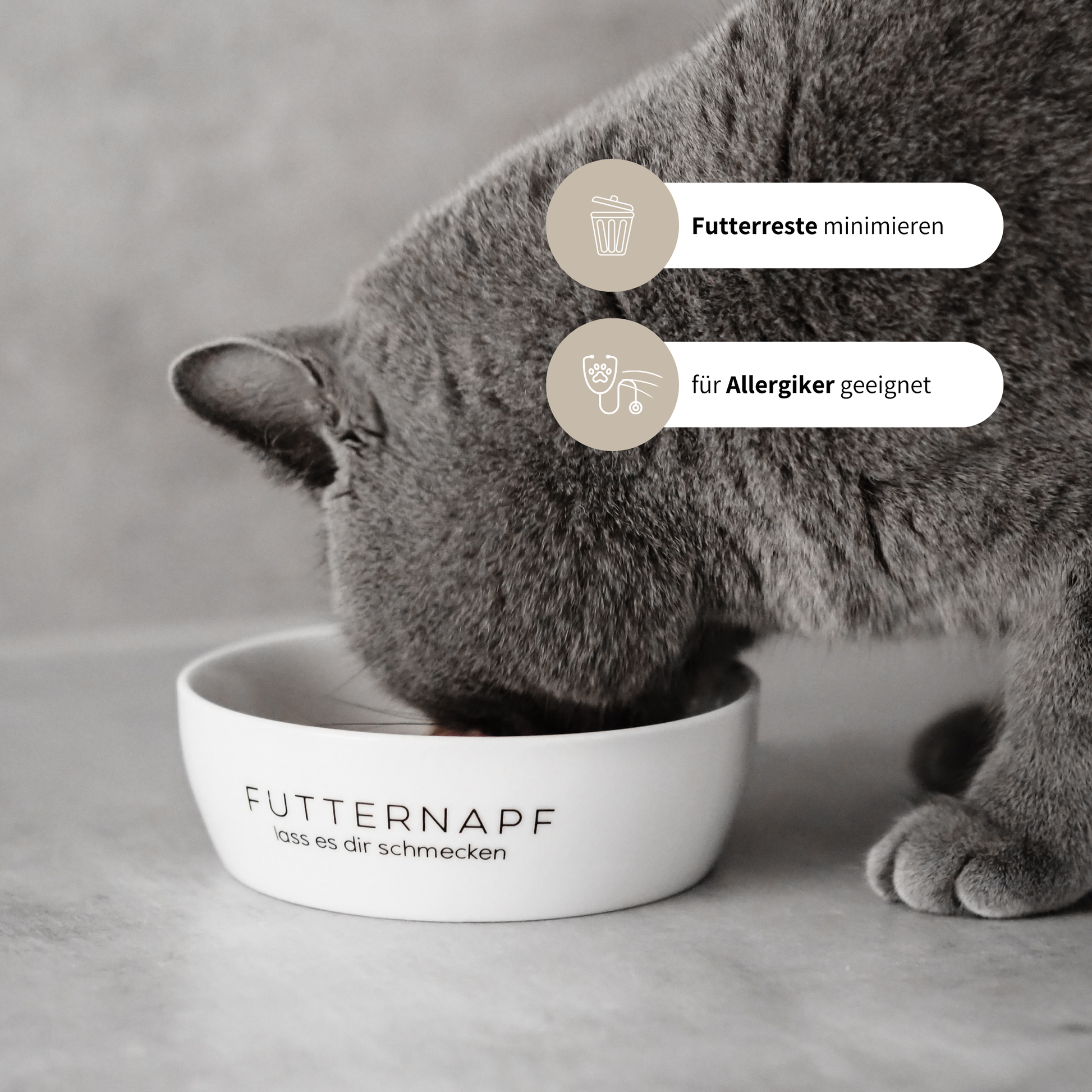 Schöner Katzennapf aus Keramik für Katzenfutter