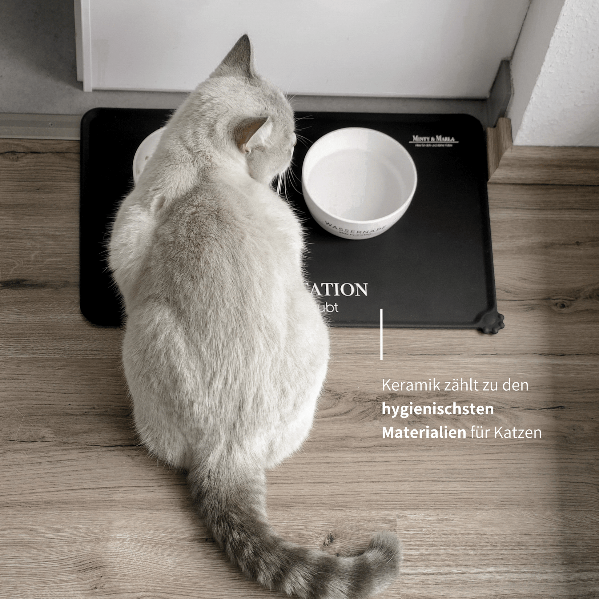 Stylische Futterstation für Katzen mit Näpfen und schwarzer Napfunterlage