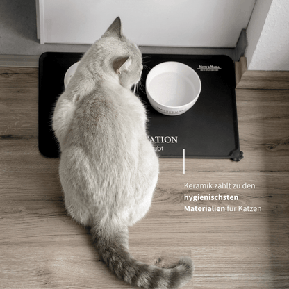 Stylische Futterstation für Katzen mit Näpfen und schwarzer Napfunterlage