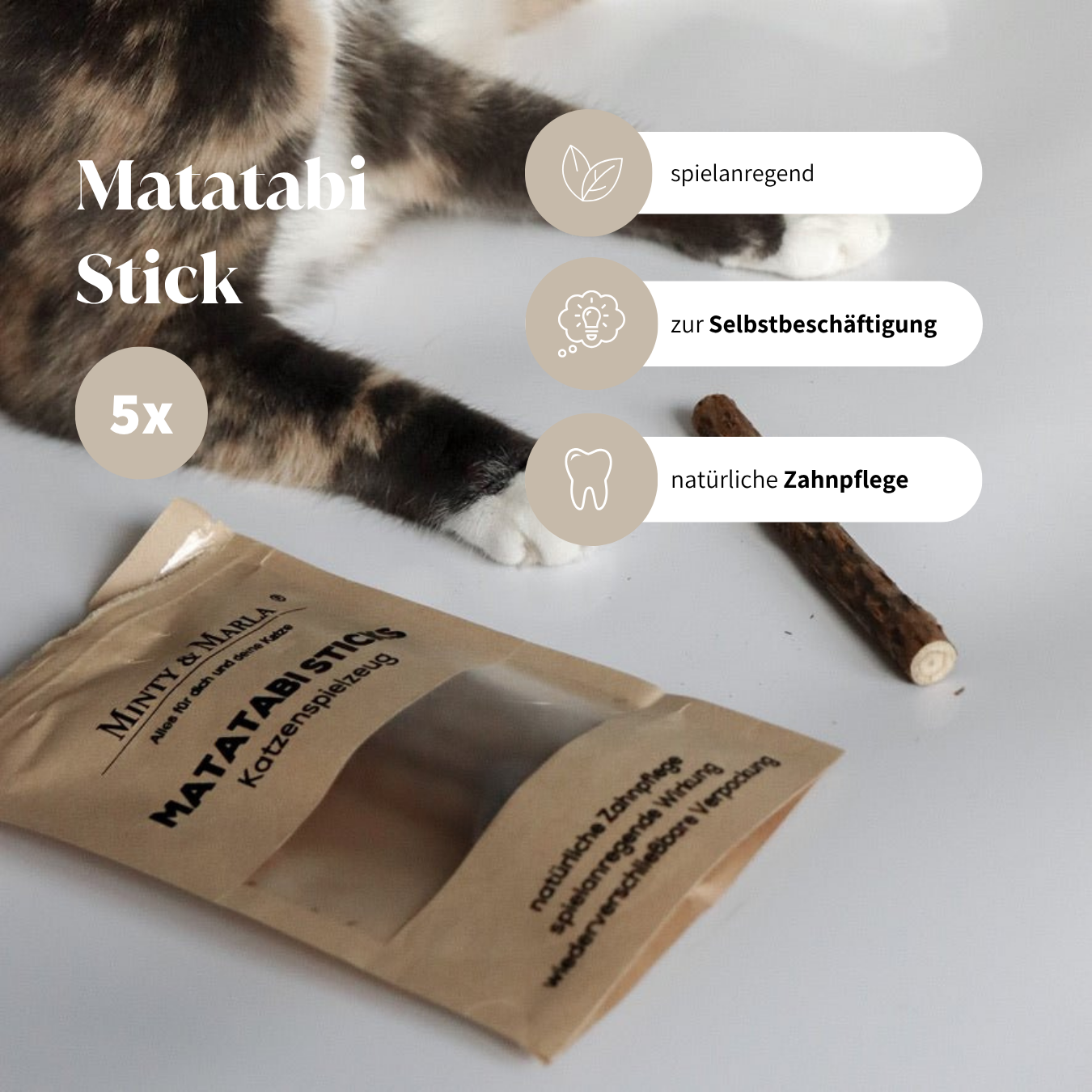 Katzenspielzeug Box Matatabi Sticks natürliches Spielzeug für Katzen 