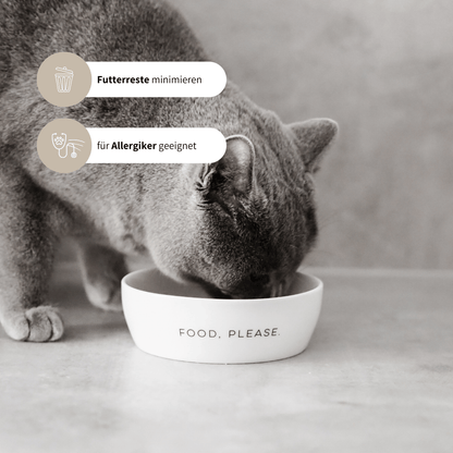 Napf für Katzen aus weißem Keramik für Katzenfutter