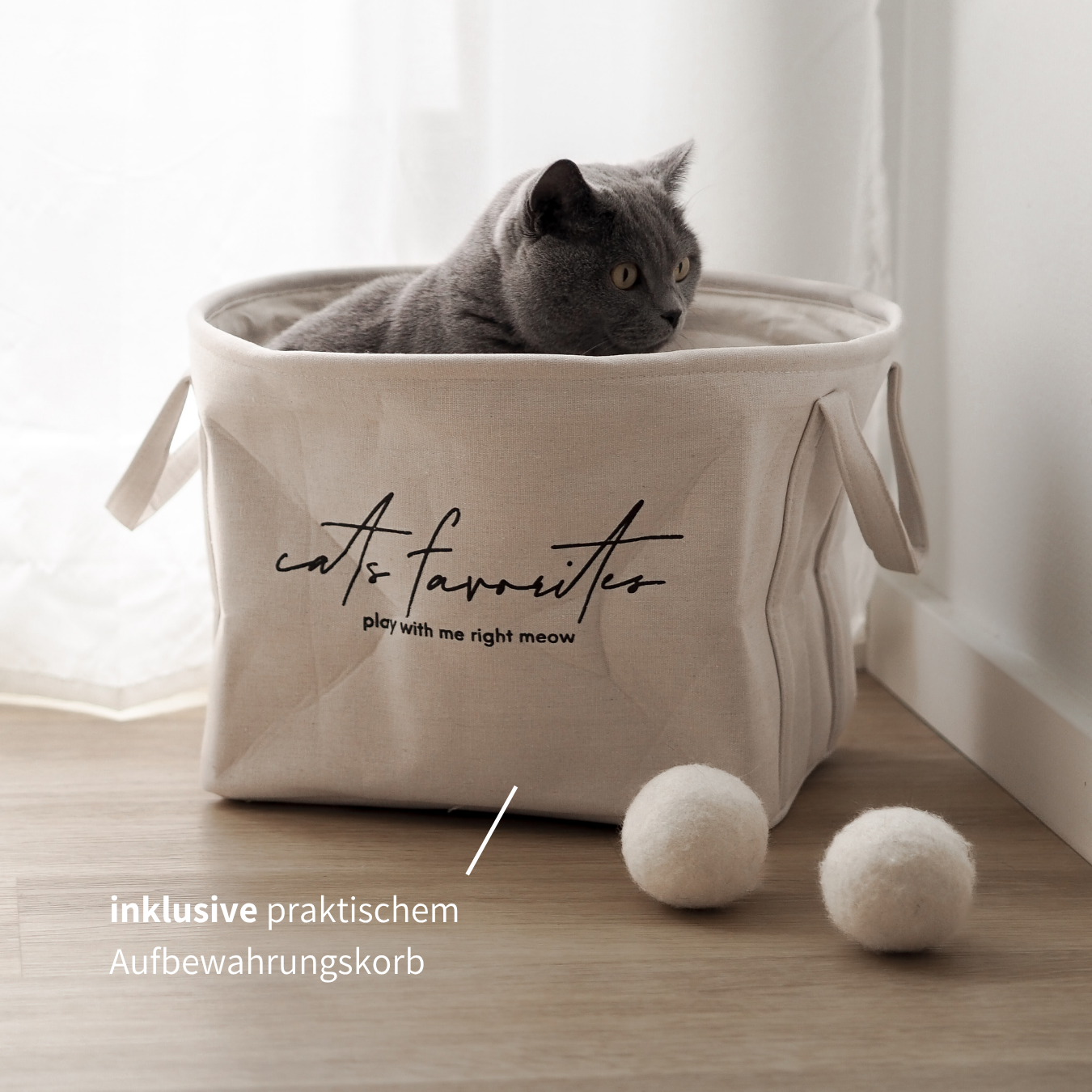 Spielzeug Box für Katzen | 6 in 1