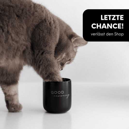 Tasse - Good Meowning