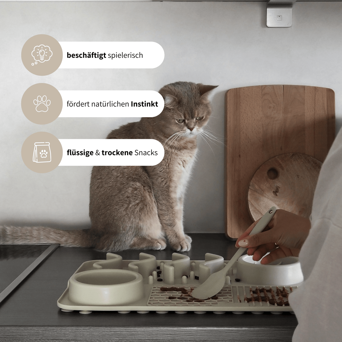 Fummelbrett für Katzen in beige für Katzenfutter und Leckerlies
