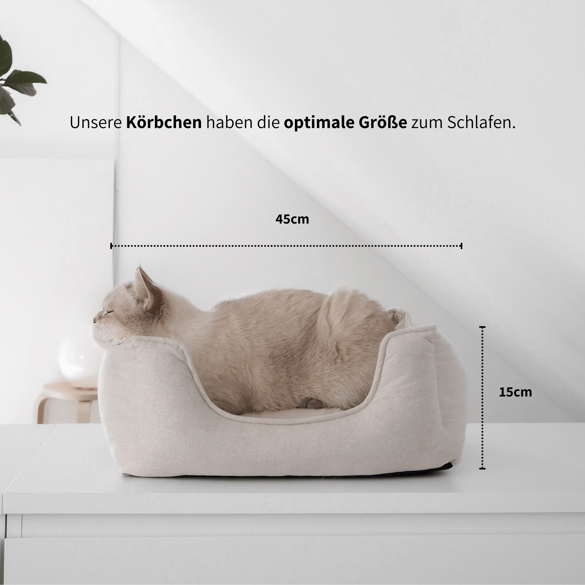 Katze in schönem Körbchen für Katzen aus beigem Leinenstoff