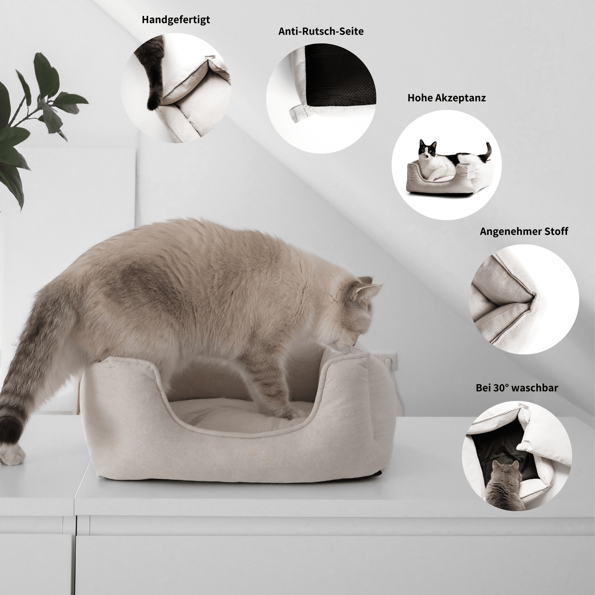 Stylischer Schlafplatz Körbchen für Katzen