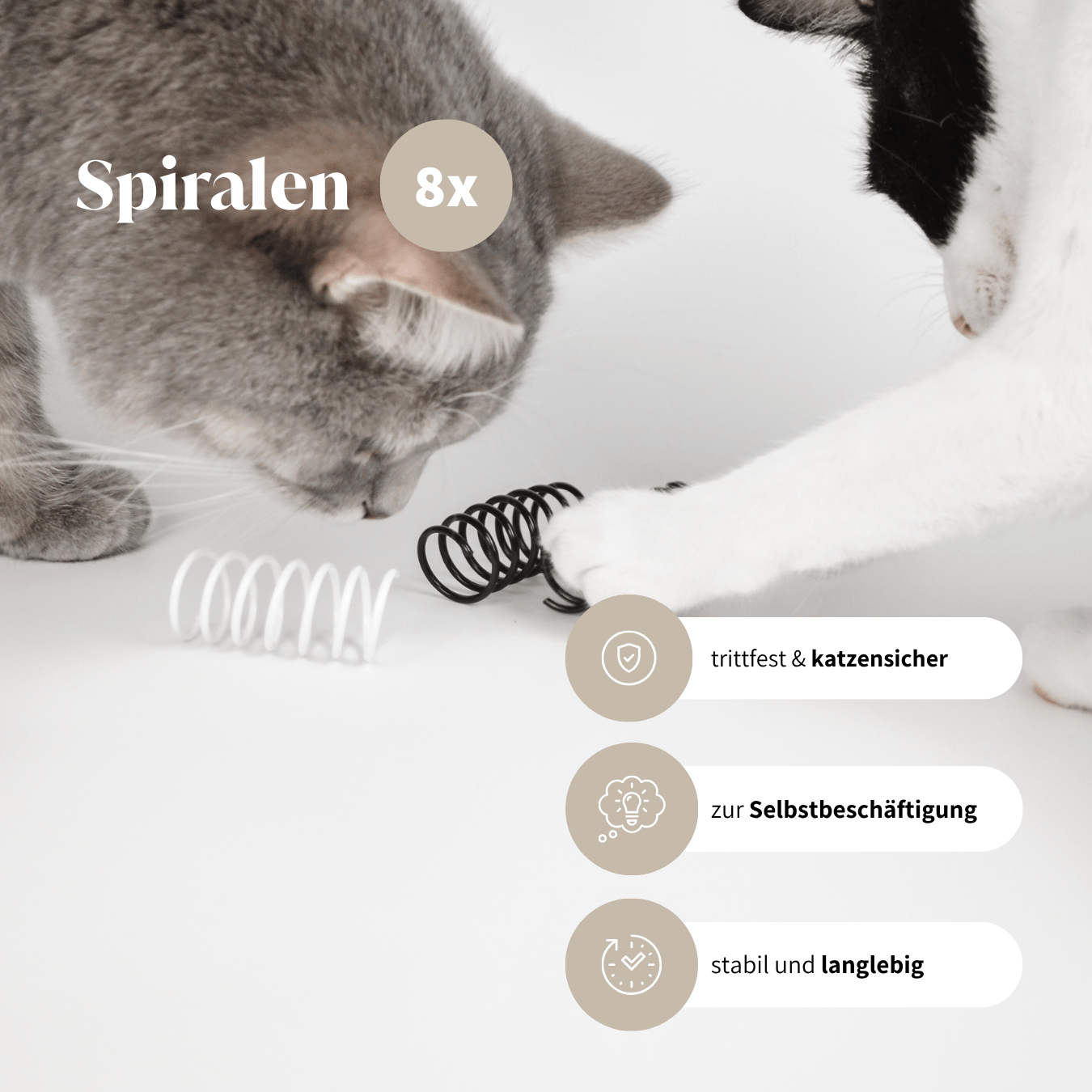 Katzenspielzeug Box Spiralen Spielzeug für Katzen Selbstbeschäftigung