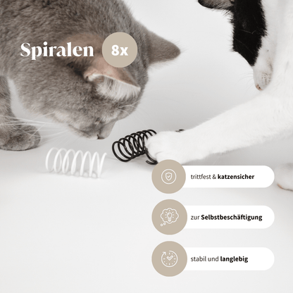Katzenspielzeug Box Spiralen Spielzeug für Katzen Selbstbeschäftigung