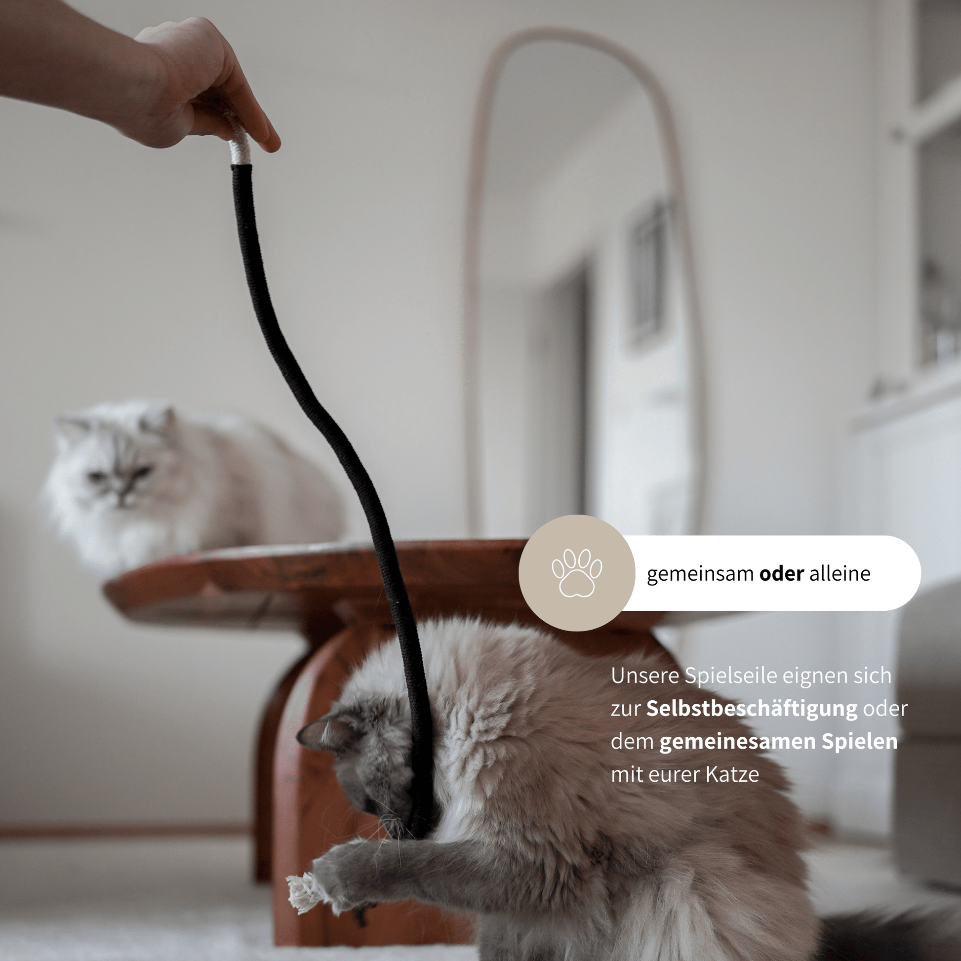 Katzenspielzeug mit Matatabi zur Beschäftigung von Katzen