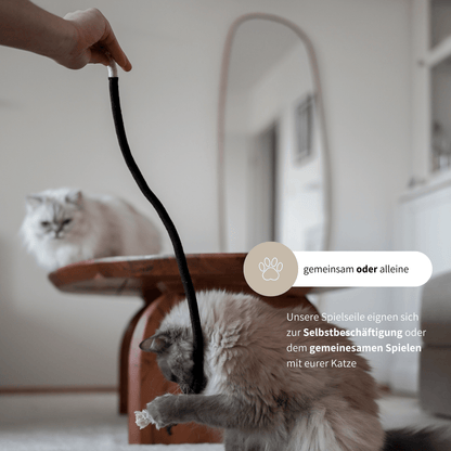 Katzenspielzeug mit Matatabi zur Beschäftigung von Katzen