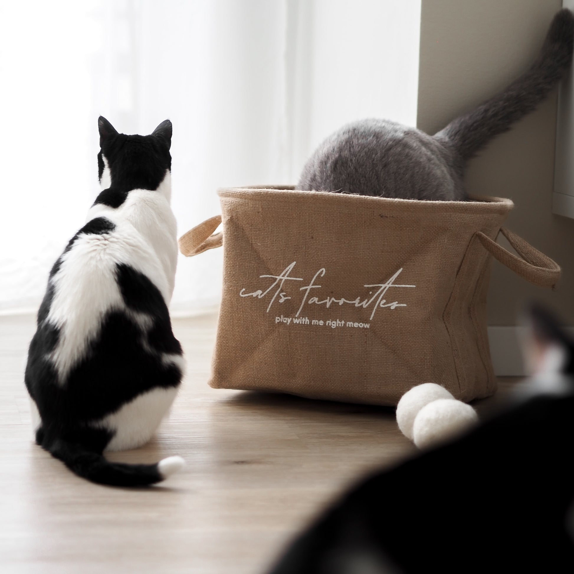 Katzen spielen in Aufbewahrungskorb für Katzenspielzeug aus Jute